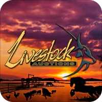 Livestock Auctions
